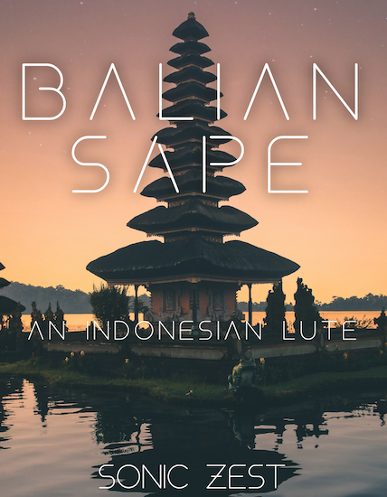 balian sape - Sonic Zest - #1 site for Kontakt samples libraries in 2021