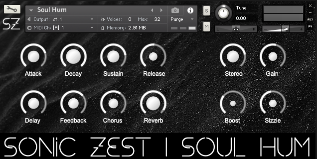 sonic zest soul hum - Soul Hum